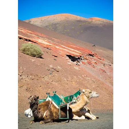 Gaida * Puerto Calero