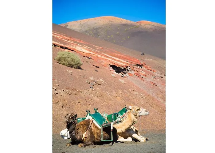 Gaida * Puerto Calero